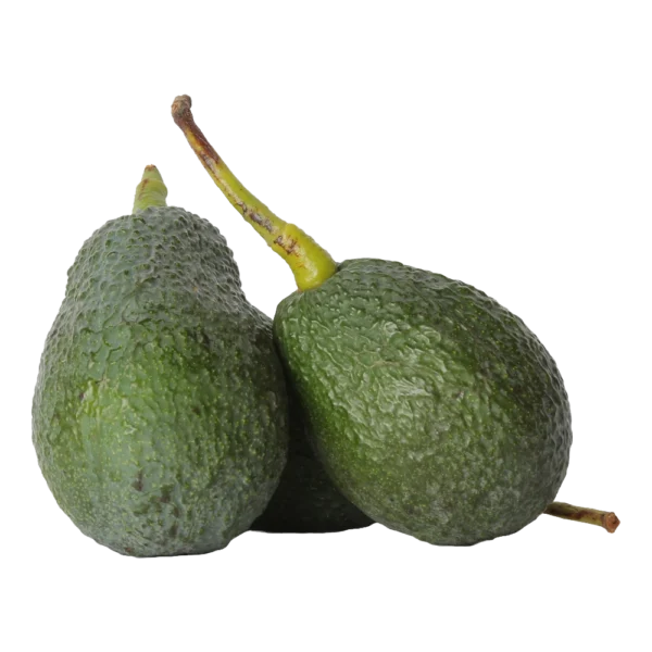 Kamakan avocado