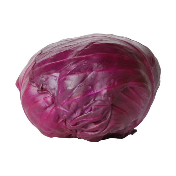 Kamakan cabbage red