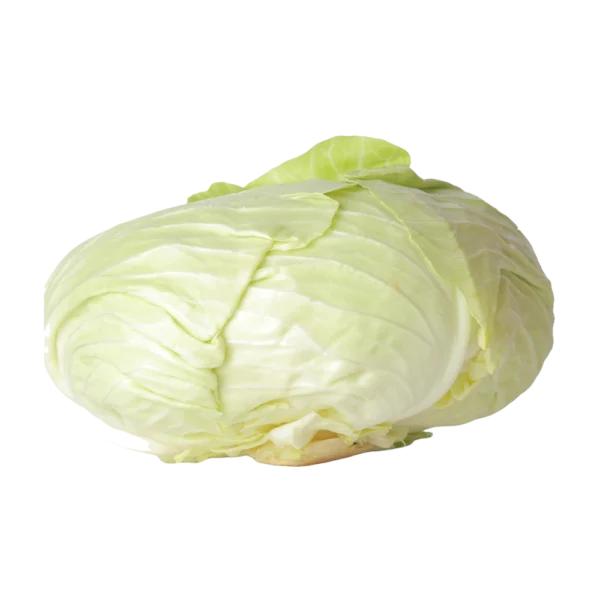 Kamakan cabbage white