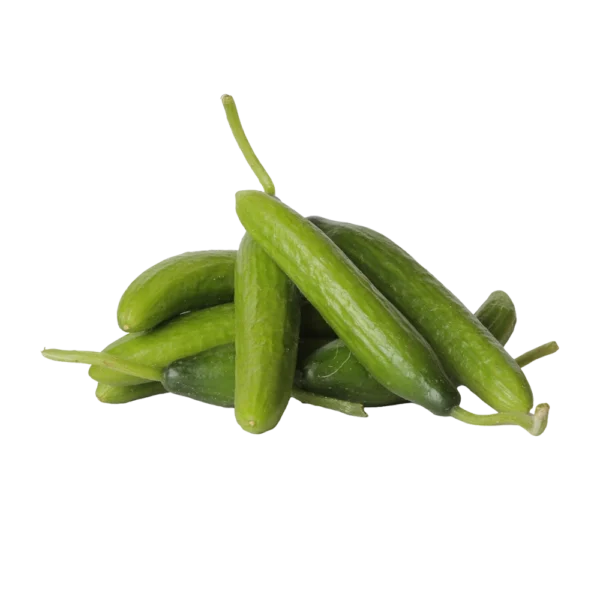 Kamakan cucumber