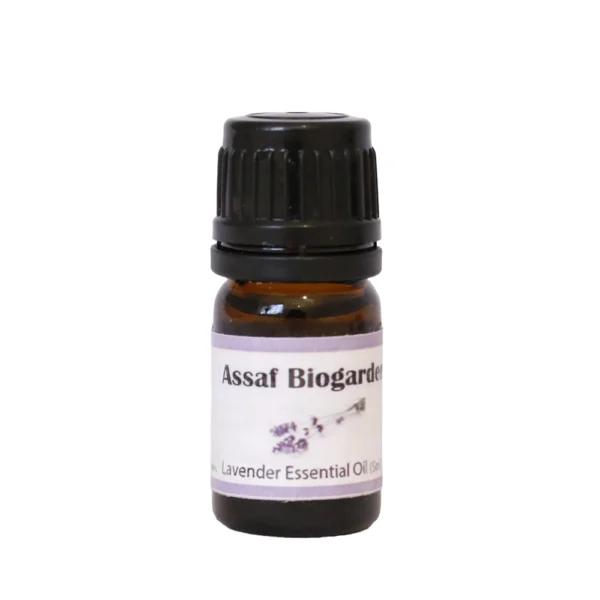 Kamakan essential oil lavender ASB0004