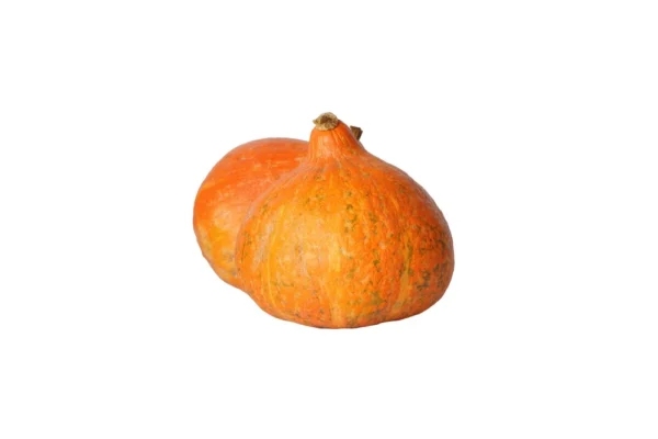 Kamakan pumpkin