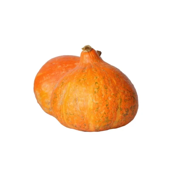 Kamakan pumpkin