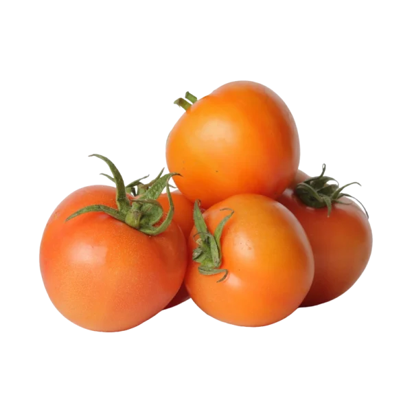 Kamakan tomato