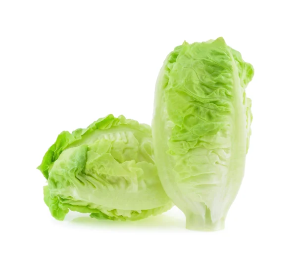 Kamakan lettuce sucrine.webp