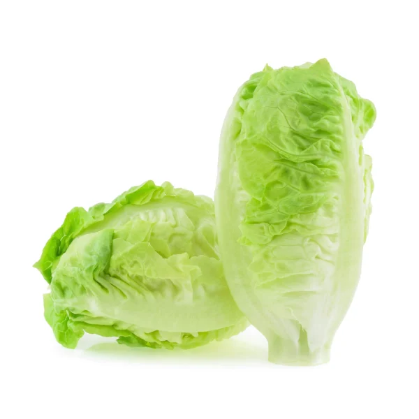 Kamakan lettuce sucrine.webp