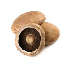 Kamakan mushroom portobello medium.webp